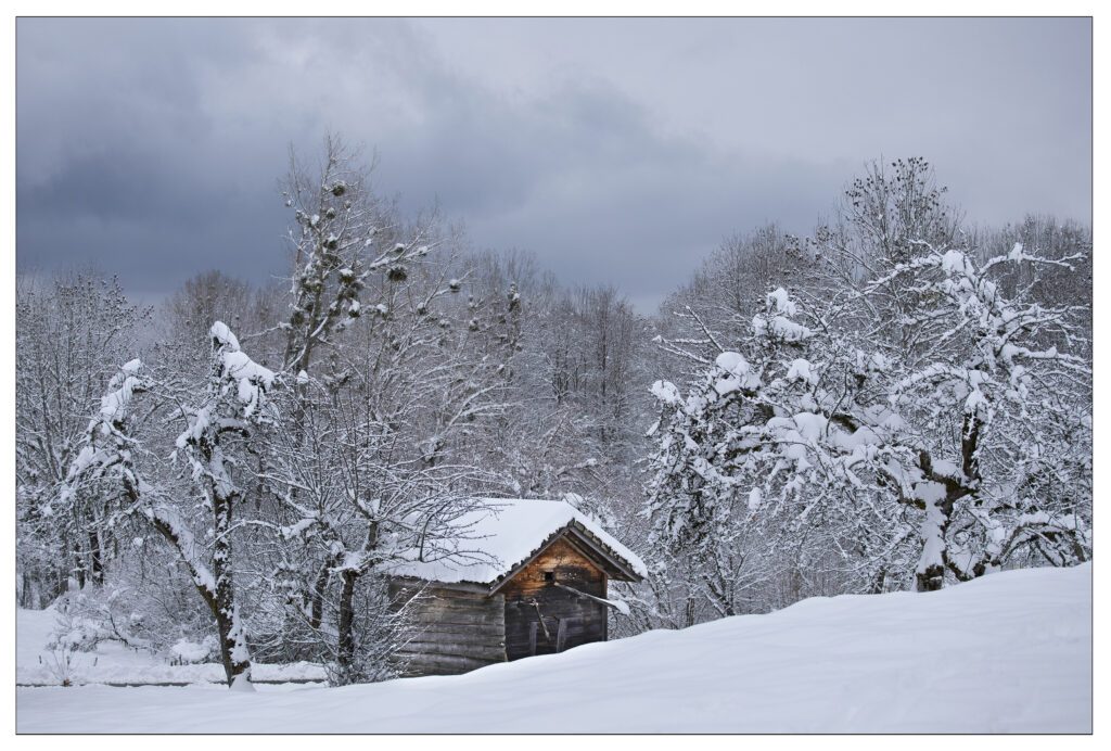 ALPES-ÂGE