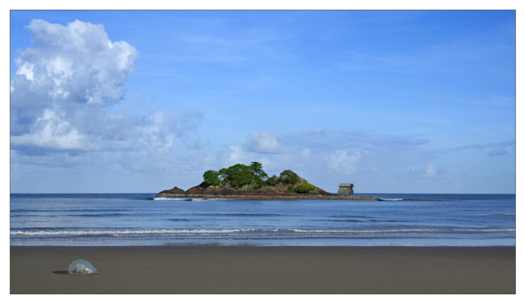 ÎLE-ROCHER