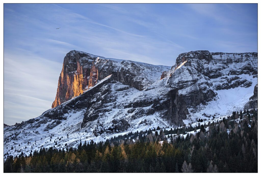 MONT-D'OR
